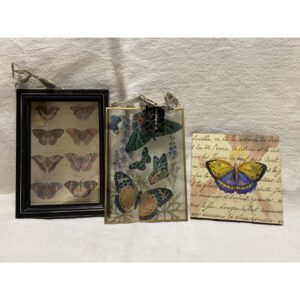Butteryfly art 3 pieces