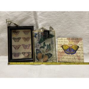 Butteryfly art 3 pieces